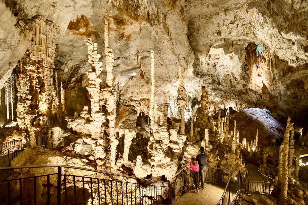 Hebergements Des Posas Sampzon Екстериор снимка