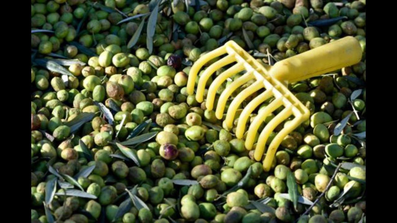 Hebergements Des Posas Sampzon Екстериор снимка